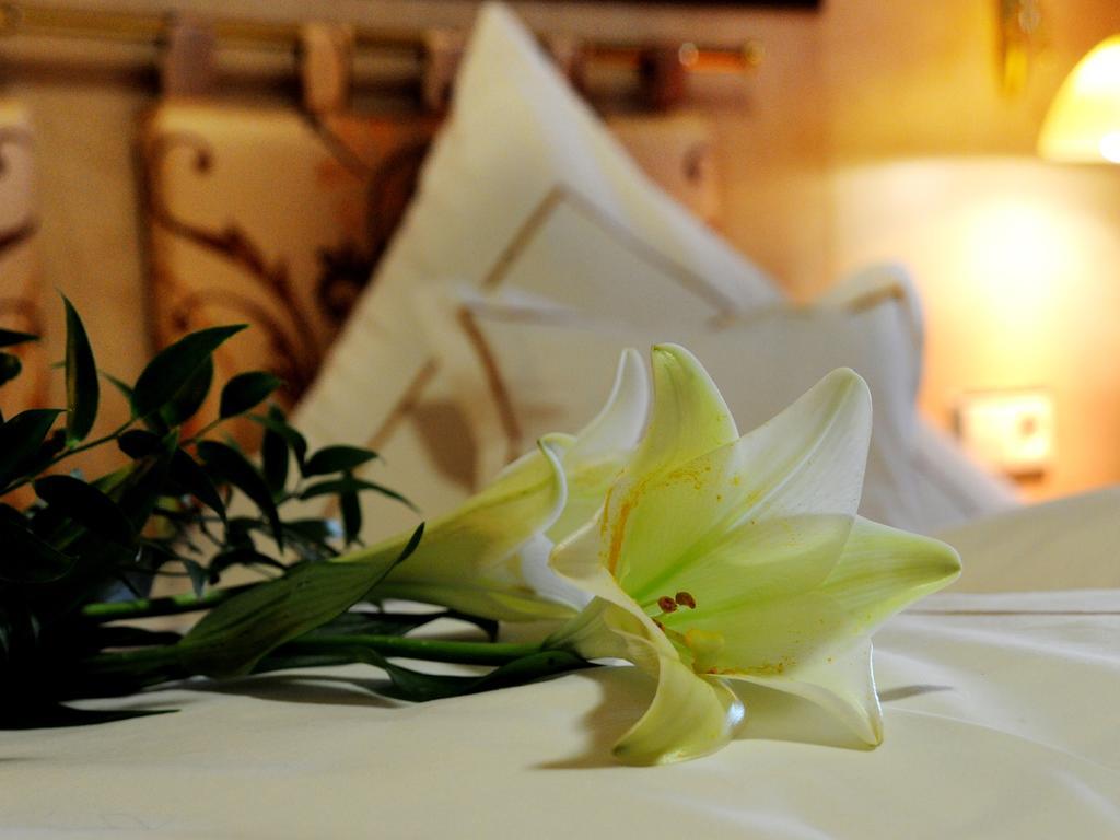 Wellness- Und Ferienhotel Waldesruh Bodenmais Camera foto